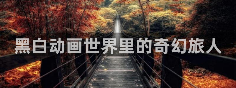 囧次元官方正版app下载