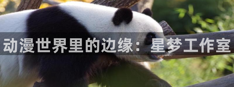 囧次元下载最新