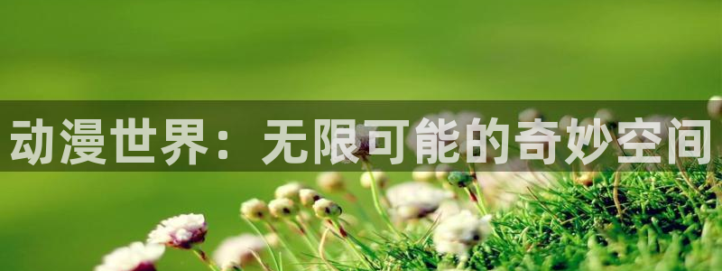 囧次元app下载