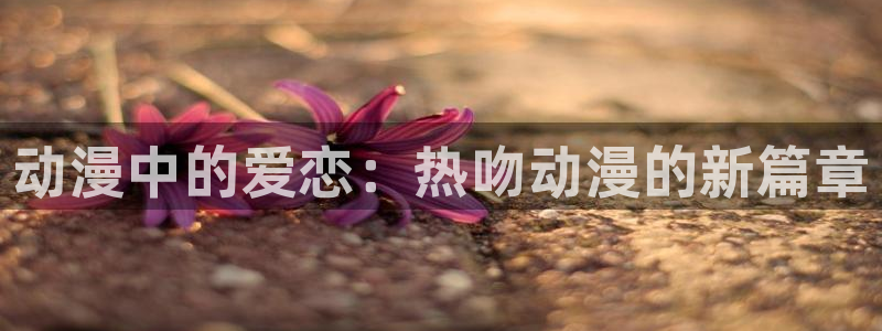 囧次元在线