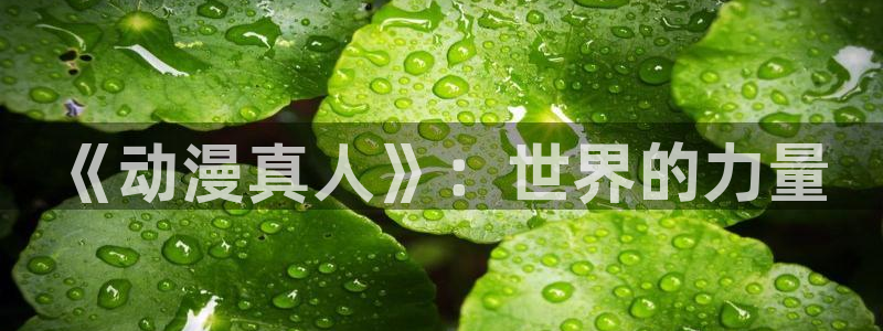 囧次元软件：《动漫真人》：世界的力量
