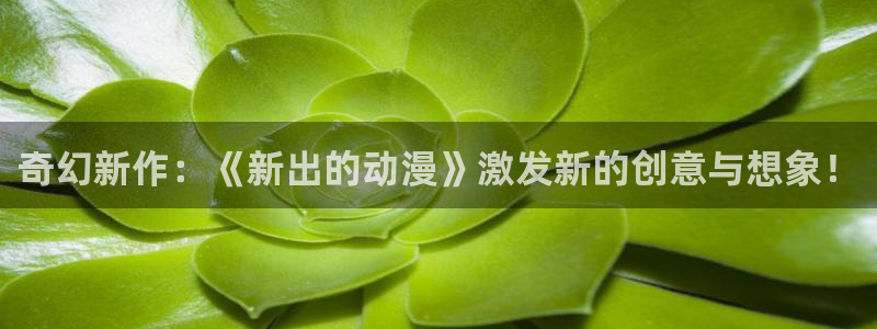 囧次元下载安装：奇幻新作：《新出的动漫》激发新的创意与想象！
